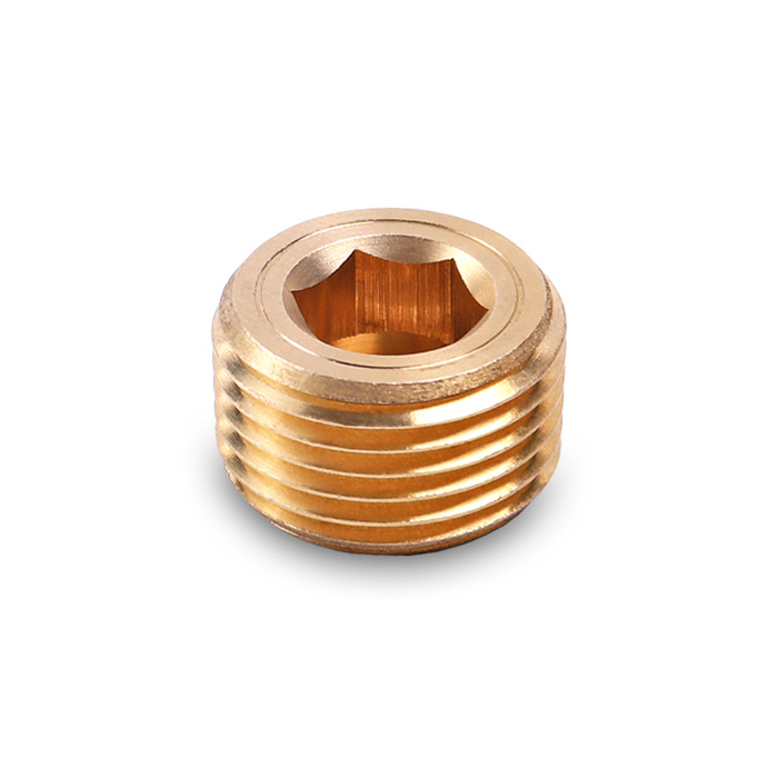 oc-luc-giac-bit-nuoc